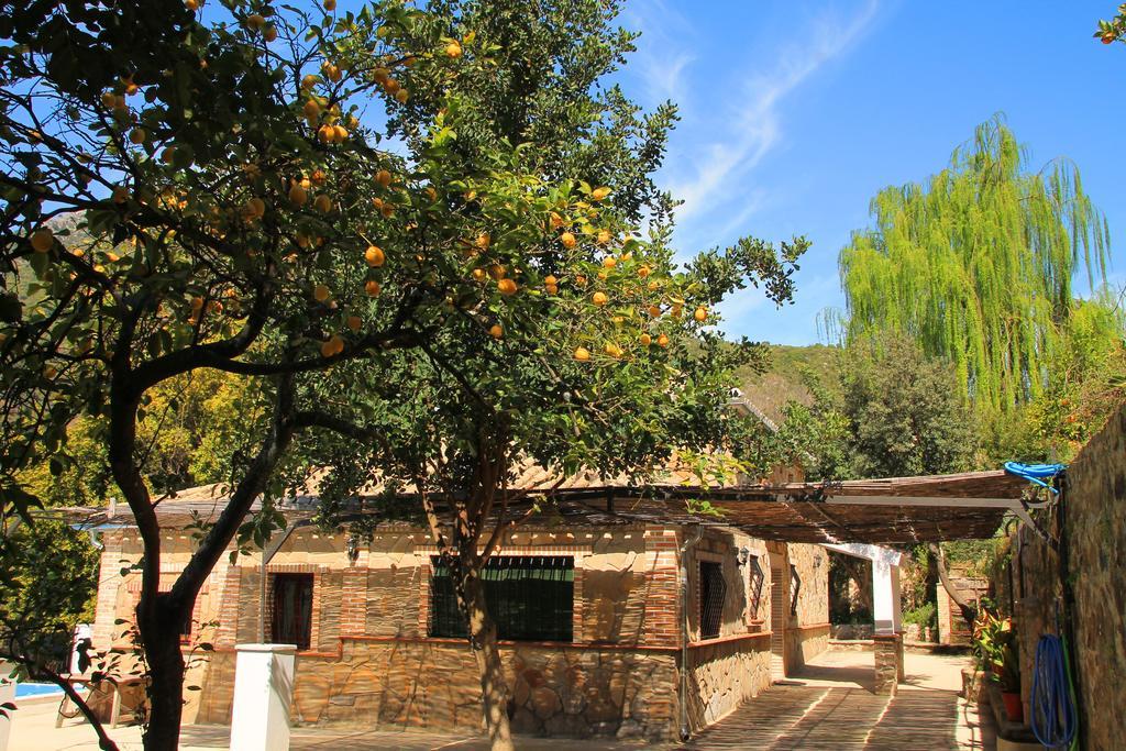 La Fuente De El Nacimiento Guest House Benamahoma Ngoại thất bức ảnh